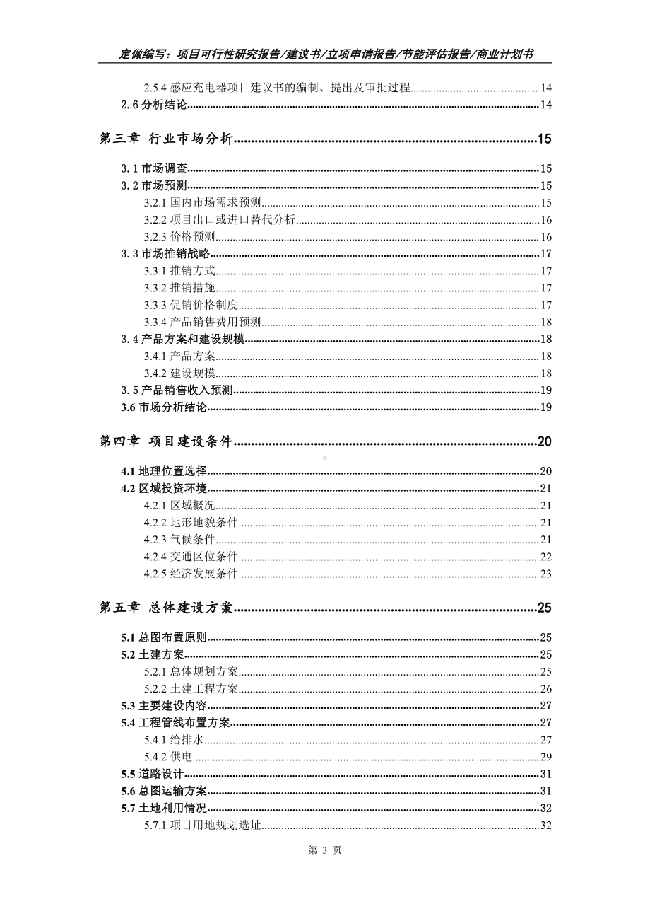 感应充电器项目可行性报告（写作模板）.doc_第3页