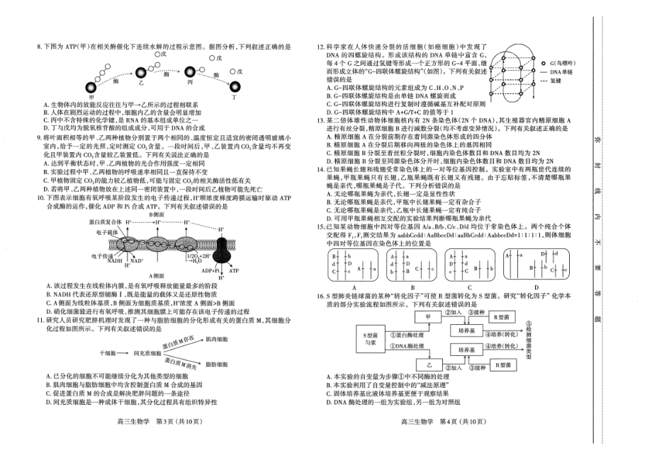 山西省太原市2022-2023学年高三上学期期末测试生物试卷及答案.pdf_第2页