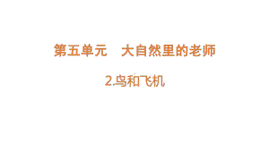 [大象版]科学五年级下册5.2鸟和飞机课件.pptx