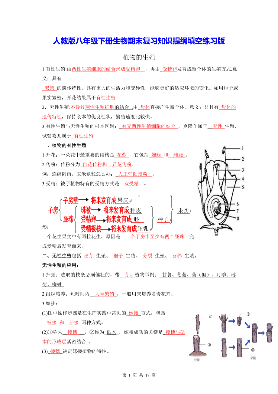 人教版八年级下册生物期末复习知识提纲填空练习版（Word版含答案）.docx_第1页