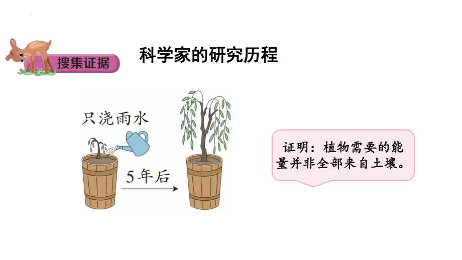 [大象版]科学五年级下册4.3植物的“食物”课件.pptx_第3页