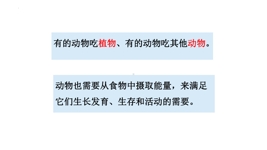 [大象版]科学五年级下册4.2动物的食物课件.pptx_第3页