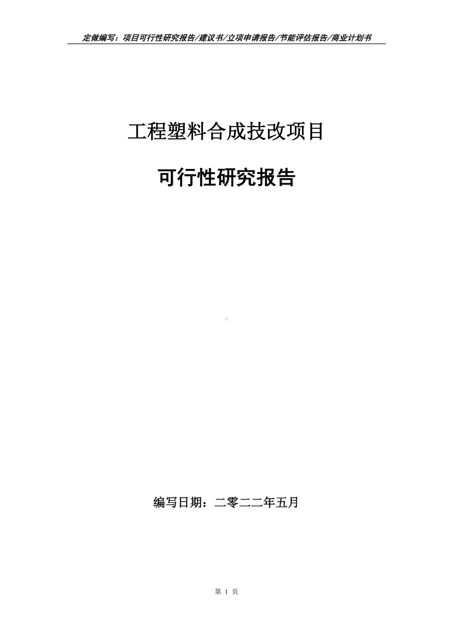 工程塑料合成技改项目可行性报告（写作模板）.doc_第1页