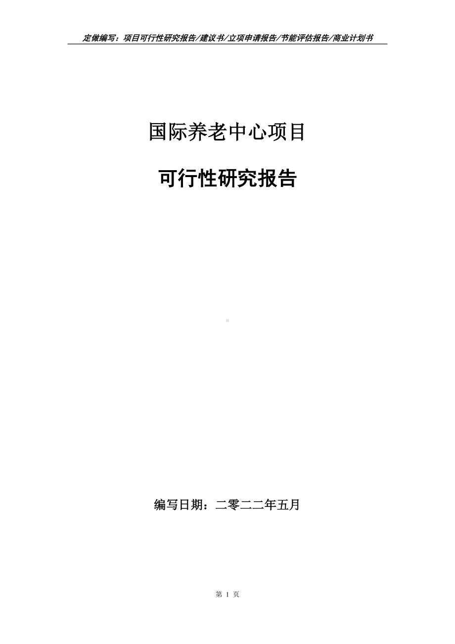 国际养老中心项目可行性报告（写作模板）.doc_第1页