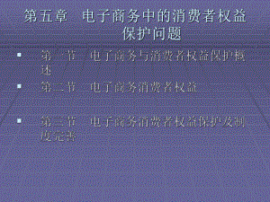 《电子商务法规（第二版）》课件第五章电子商务中的消费权益保护问题.ppt