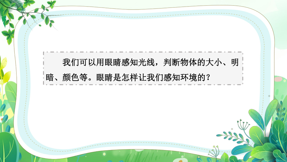 六三制新青岛版六年级科学下册第一单元《人体感知环境》全部课件（共计5课时）.pptx_第2页