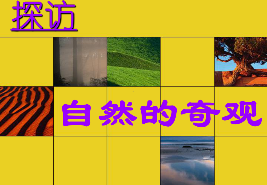 2《探访自然的奇观》ppt课件-新人美版六年级下册《美术》.ppt_第1页