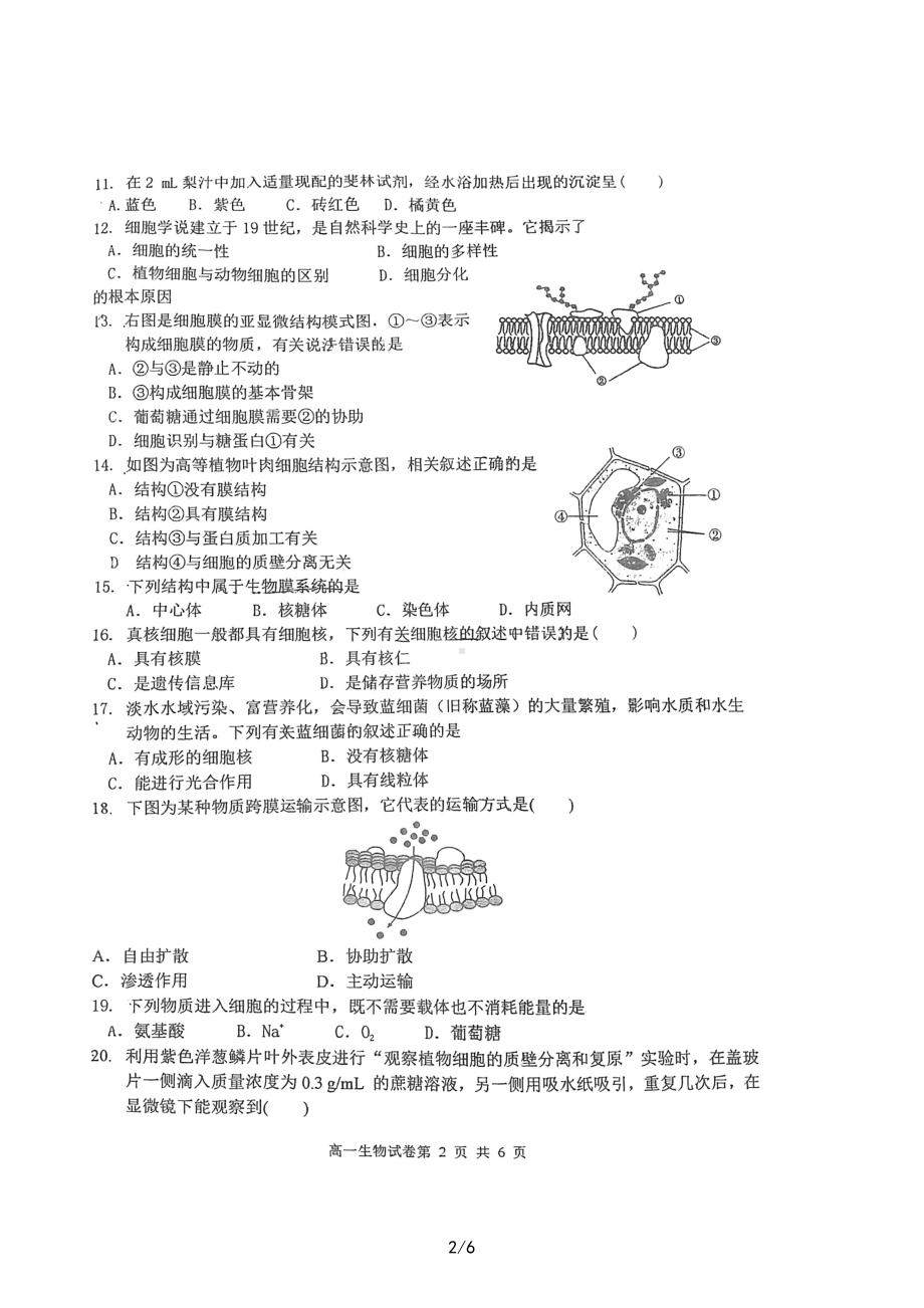 江苏省射阳县第二 2022-2023学年高一上学期期末考试生物试题.pdf_第2页