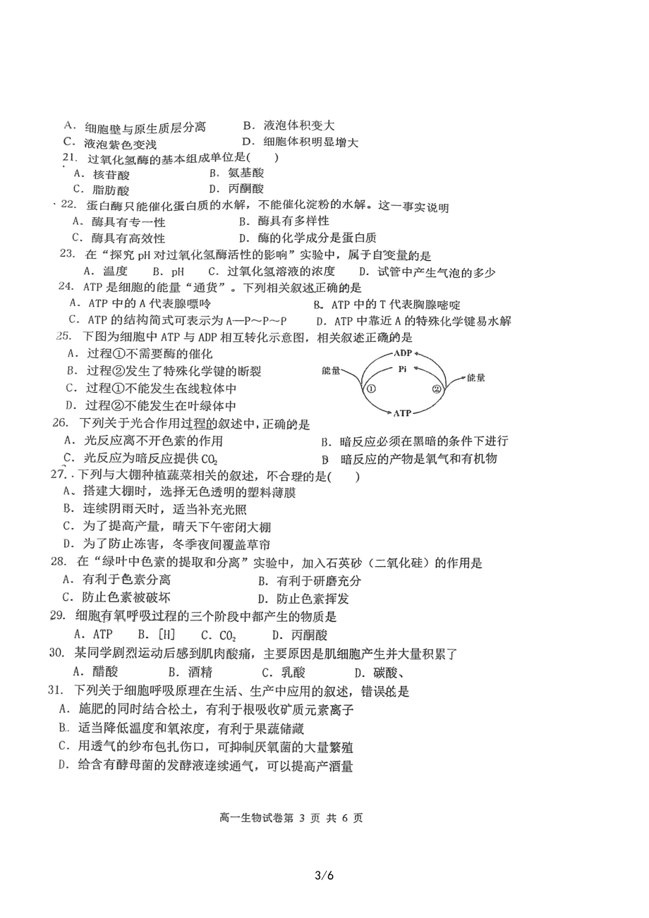 江苏省射阳县第二 2022-2023学年高一上学期期末考试生物试题.pdf_第3页