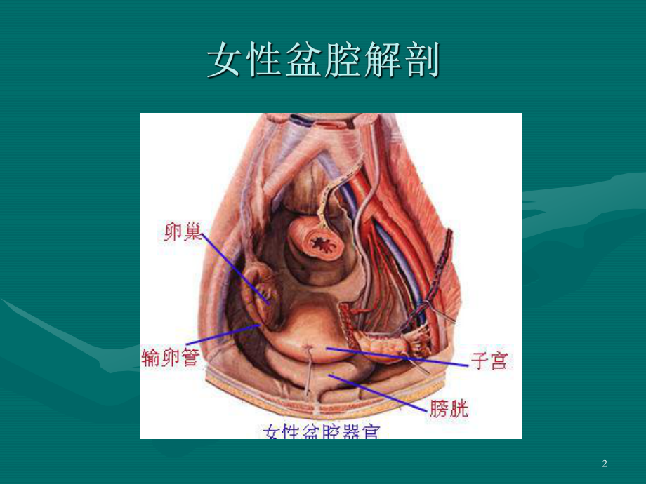 医学精品课件：9盆腔肿块.ppt_第2页