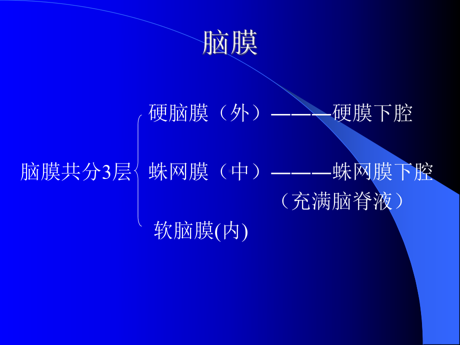 医学精品课件：6化脓性脑膜炎.ppt_第2页