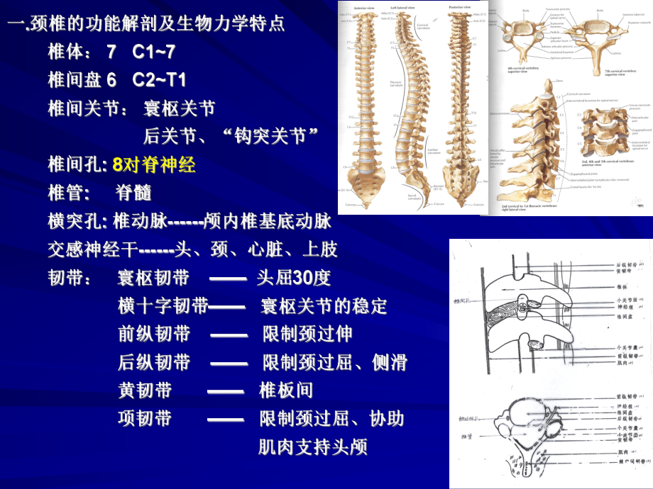 医学精品课件：颈椎病.ppt_第2页