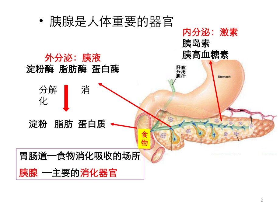 医学精品课件：5胰腺疾病.ppt_第2页