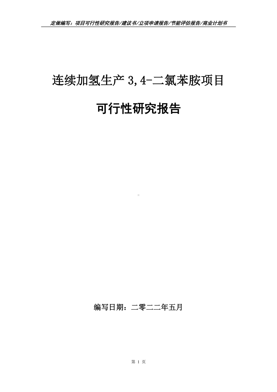 连续加氢生产3,4-二氯苯胺项目可行性报告（写作模板）.doc_第1页