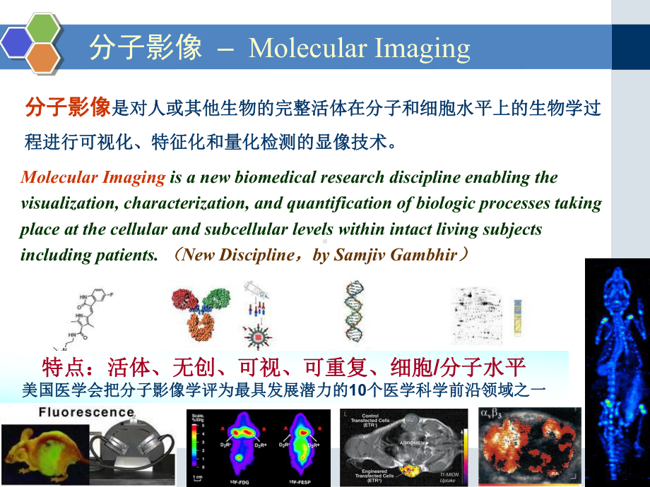 医学精品课件：分子影像.ppt_第3页