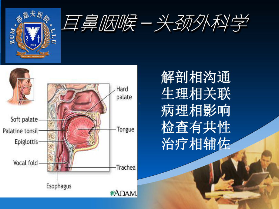 医学精品课件：4鼻腔.ppt_第2页