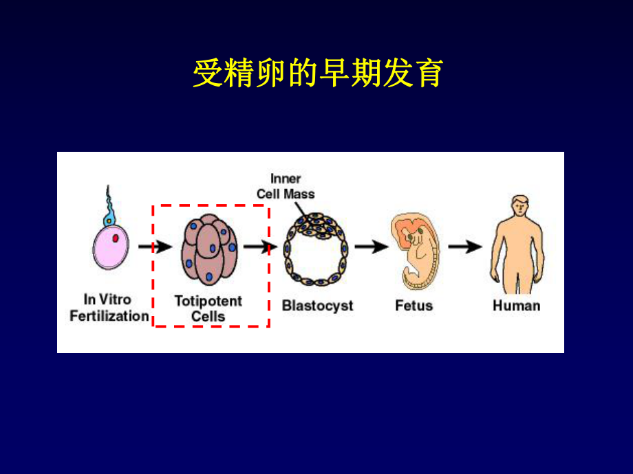 医学精品课件：10XueyeBK.ppt_第3页