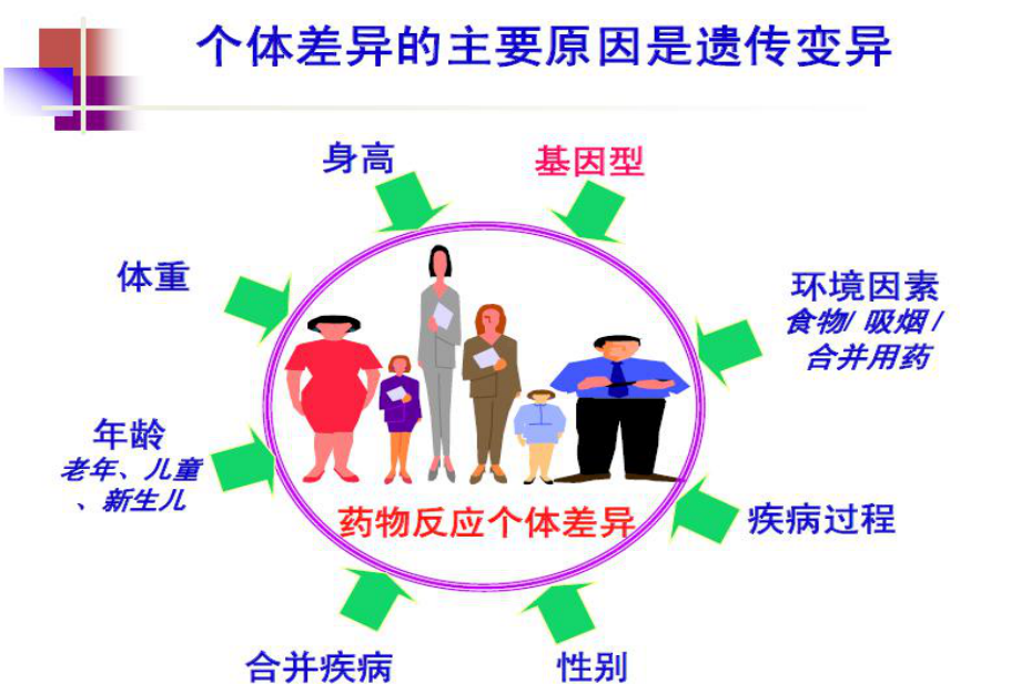 医学精品课件：遗传药理（2015）.ppt_第3页