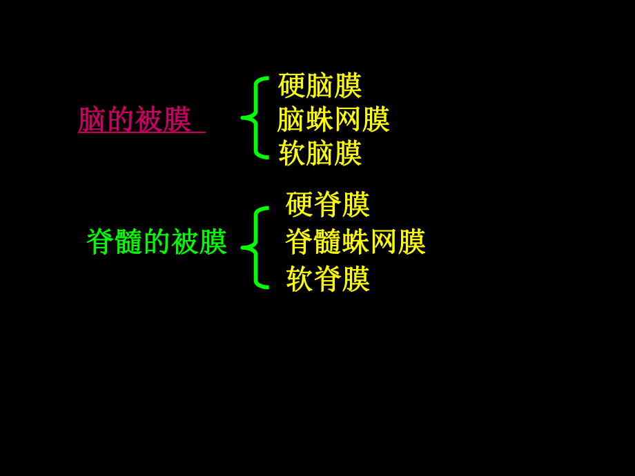 医学精品课件：J脑和脊髓的被膜.ppt_第2页