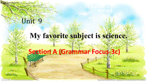 2022-2023学年人教版英语七年级上册Unit9 Section A Grammar focus 3a—3c 课件.pptx