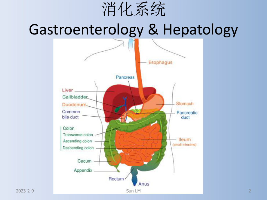 医学精品课件：1总、胃炎、溃疡.ppt_第2页