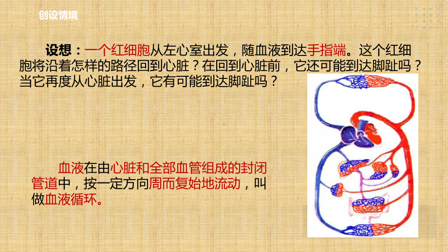 2022-2023学年浙教版科学九年级上册4.3体内物质的运输（第3课时） 课件.pptx_第3页