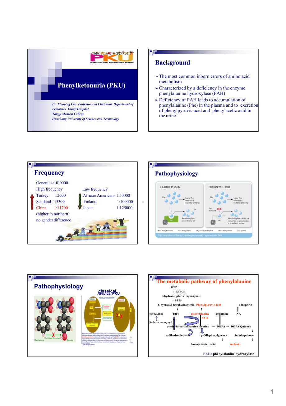 医学精品课件：苯丙酮尿症.pptx_第1页
