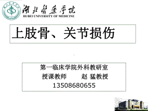 医学精品课件：授课PPT上肢骨.ppt