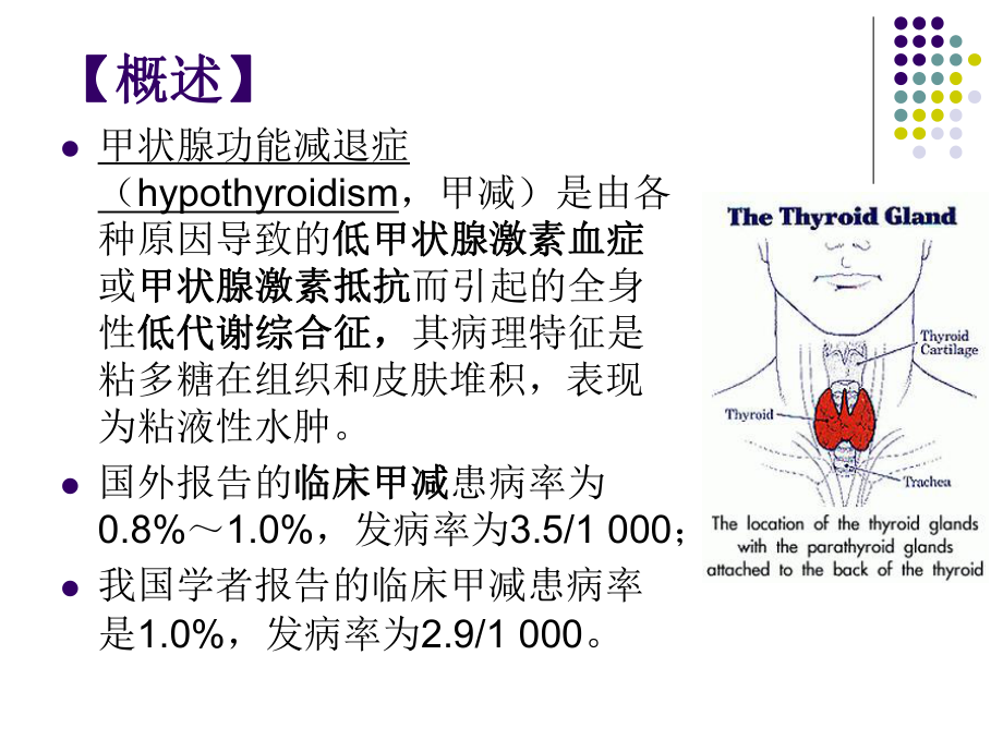 医学精品课件：甲状腺功能减退2014.9胡蜀红.ppt_第2页