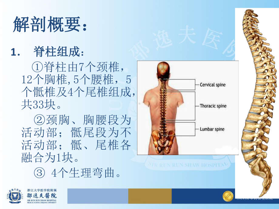 医学精品课件：18脊柱及脊髓损伤、慢性运动系统损伤.ppt_第3页