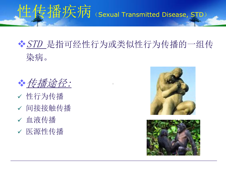 医学精品课件：6性传播疾病.ppt_第2页