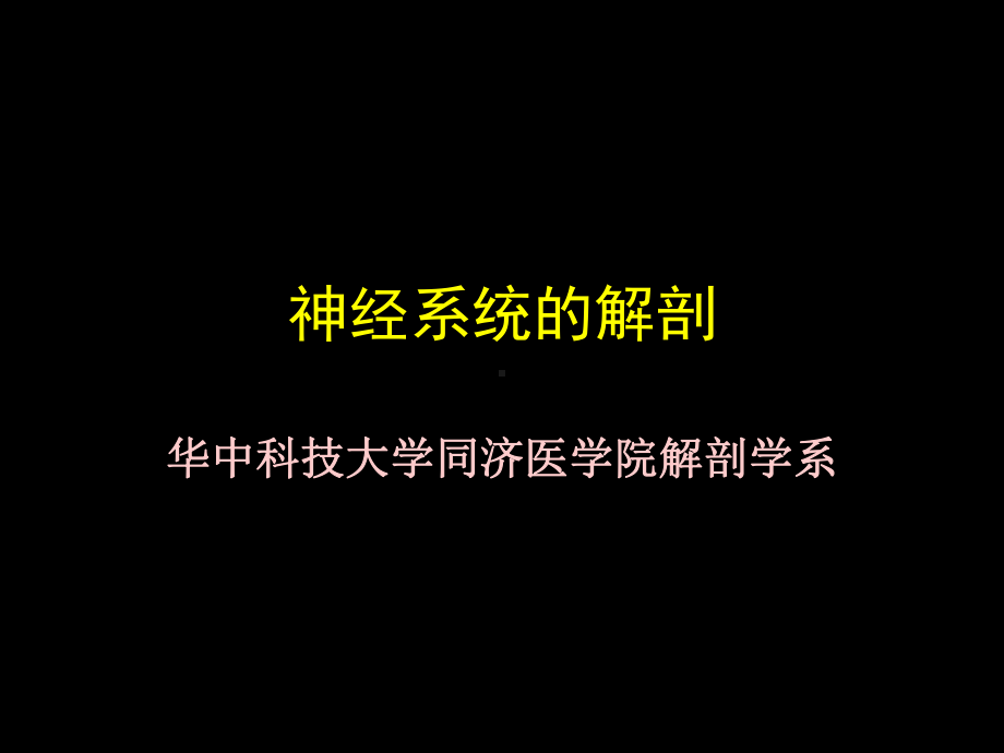 医学精品课件：脑N.ppt_第1页