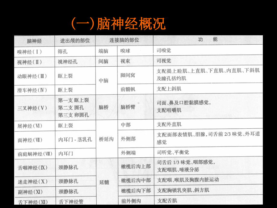 医学精品课件：脑N.ppt_第3页