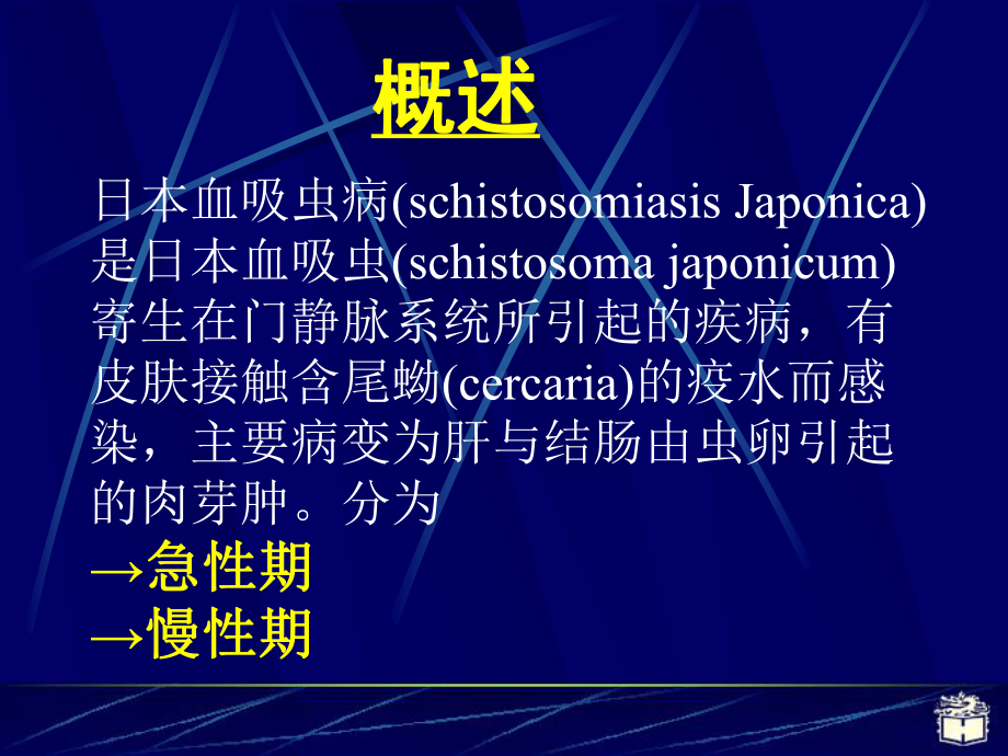 医学精品课件：6日本血吸虫(YQ.ppt_第2页