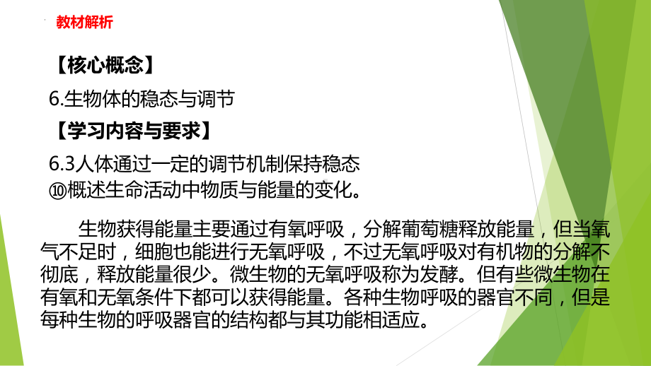 2022-2023学年浙教版科学九年级上册4.4 能量的获得课件.pptx_第2页