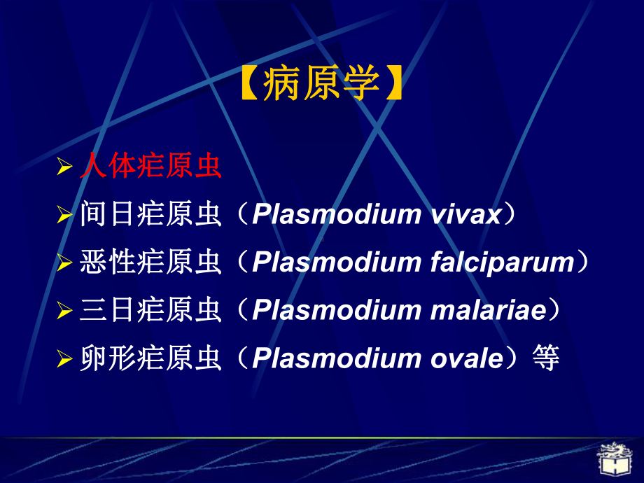 医学精品课件：6疟疾上课版.ppt_第3页