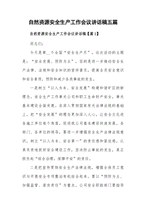 自然资源安全生产工作会议讲话稿五篇.docx