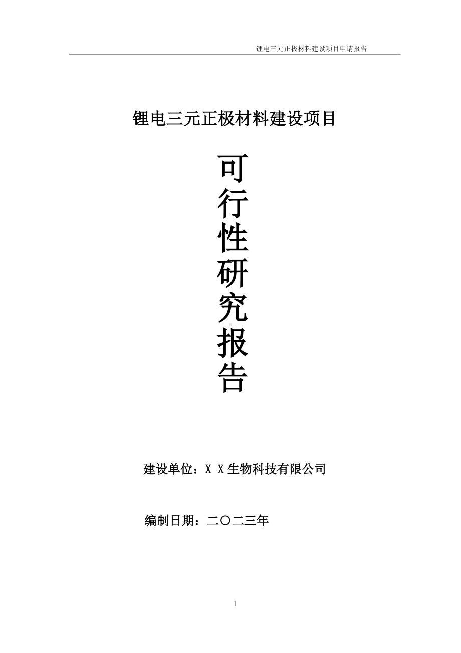 锂电三元正极材料项目可行性研究报告备案申请模板.doc_第1页