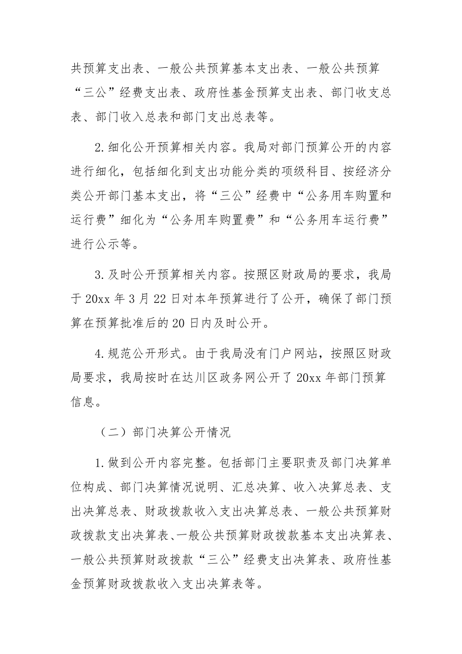 财政预决算公开自查报告.docx_第2页