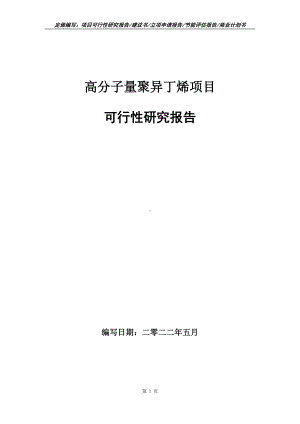 高分子量聚异丁烯项目可行性报告（写作模板）.doc