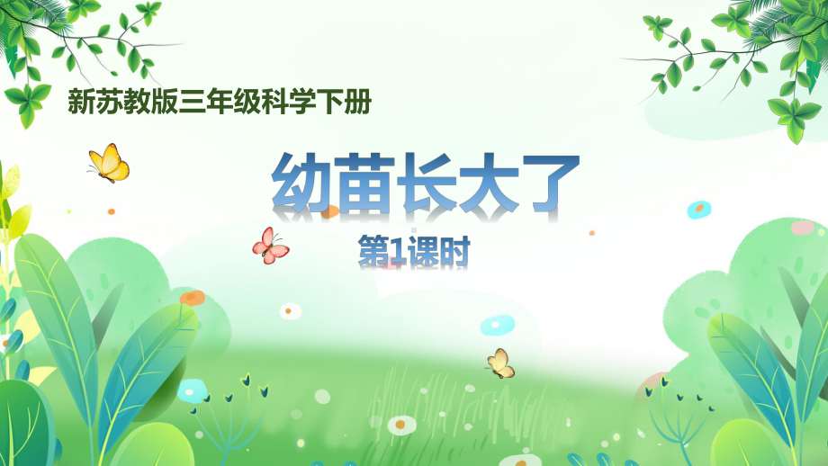 新苏教版三年级下册科学第一单元《幼苗长大了》第1课时课件.pptx_第1页