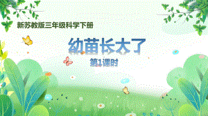 新苏教版三年级下册科学第一单元《幼苗长大了》第1课时课件.pptx