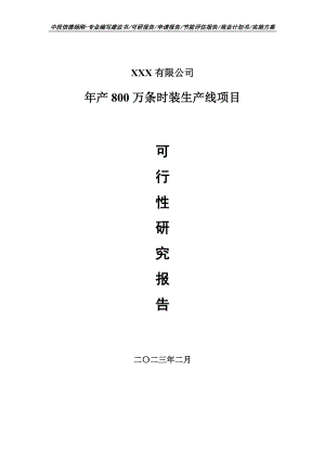 年产800万条时装生产线可行性研究报告建议书.doc