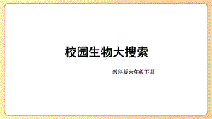 2022-2023六年级科学下学期教科版第1课校园生物大搜索教学课件.pptx