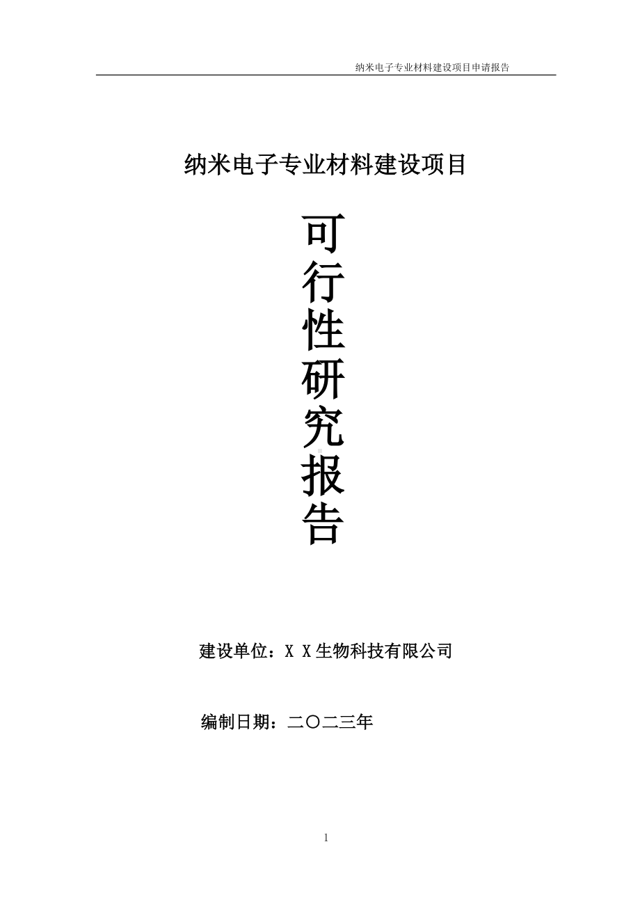 纳米电子专业材料项目可行性研究报告备案申请模板.doc_第1页