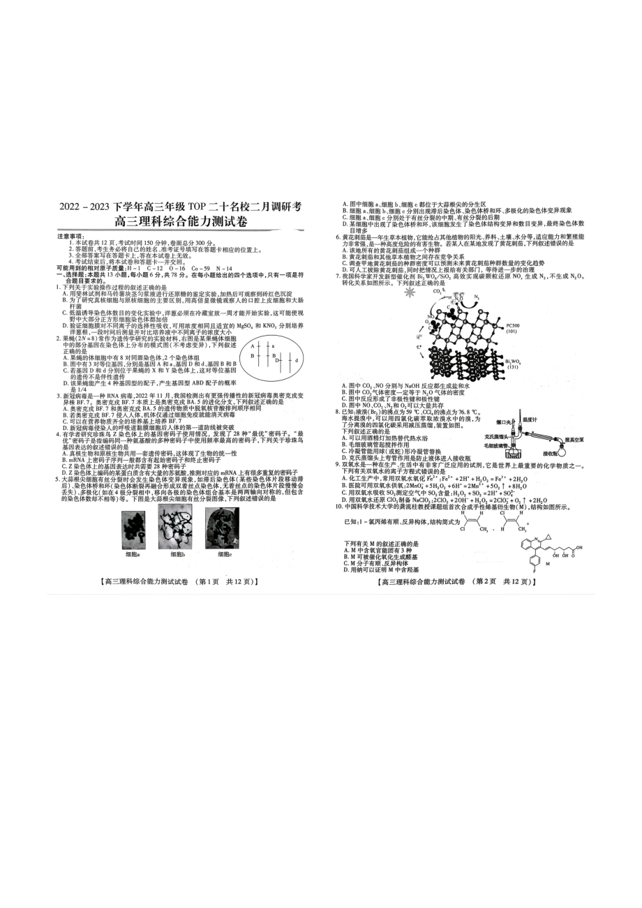 河南省TOP二十名校2022-2023学年高三下学期2月调研考试理综试题含答案.pdf_第1页