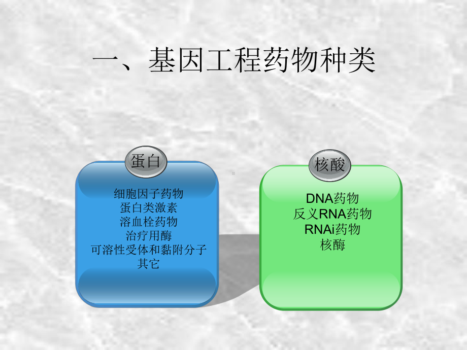 大学精品课件：生物技术制药个论 .ppt_第3页