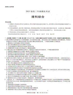 河南省濮阳市2022-2023学年高三下学期第一次摸底考试 理综含答案.pdf