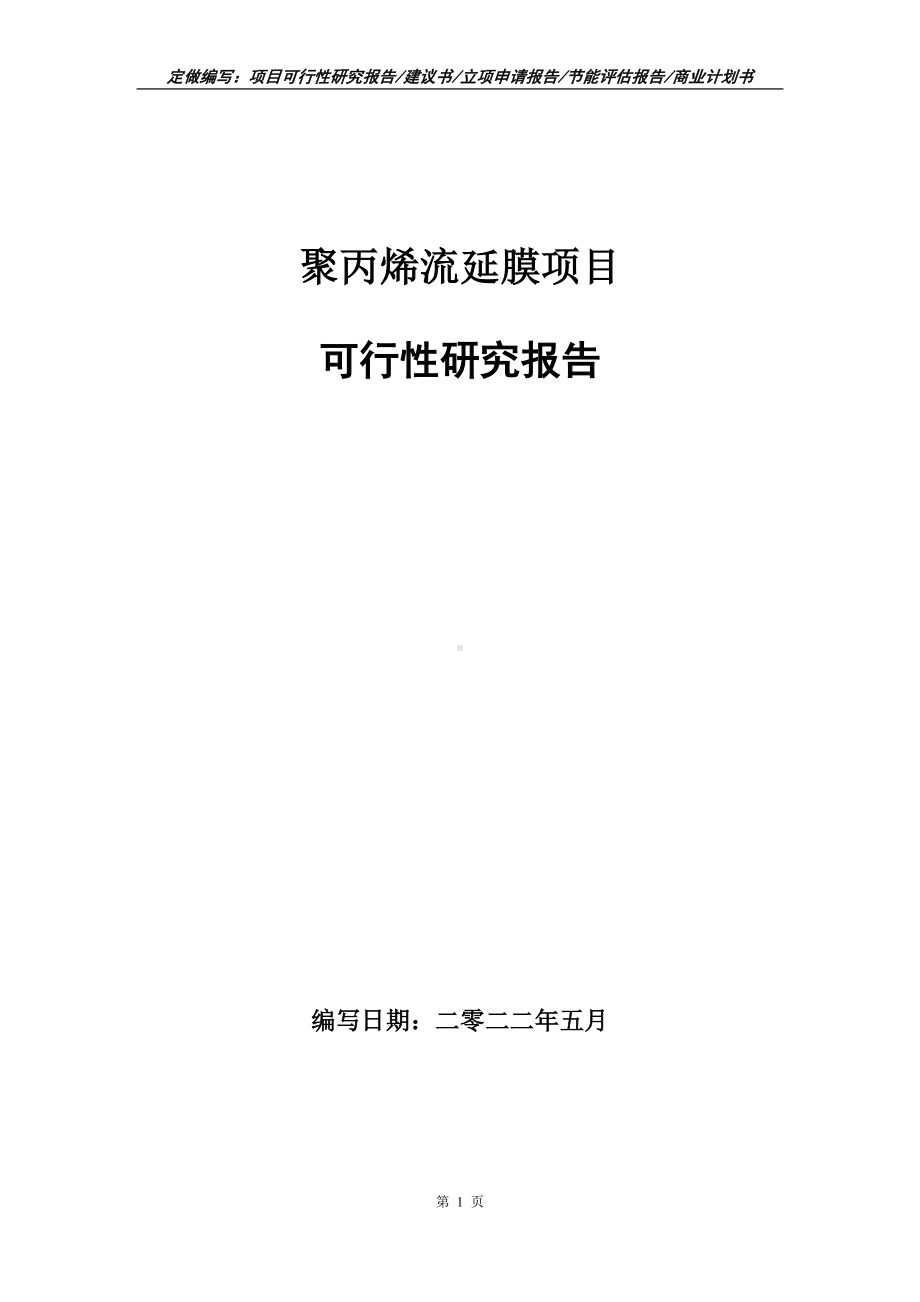 聚丙烯流延膜项目可行性报告（写作模板）.doc_第1页