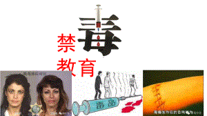 禁毒教育 ppt课件-2023春高中主题班会 .pptx